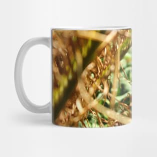 Deep in the Ferns Mug